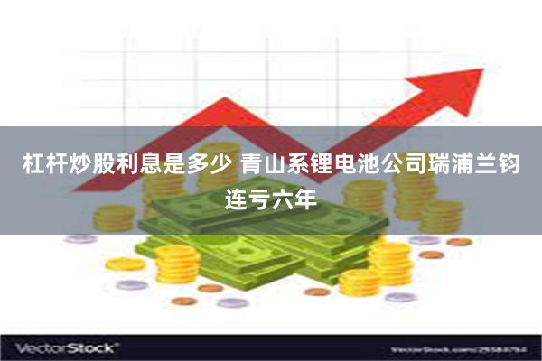 杠杆炒股利息是多少 青山系锂电池公司瑞浦兰钧连亏六年