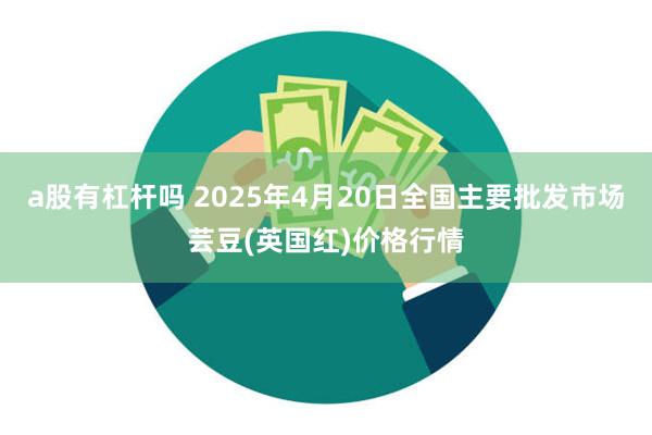 a股有杠杆吗 2025年4月20日全国主要批发市场芸豆(英国红)价格行情