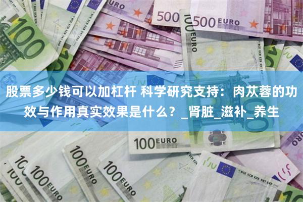 股票多少钱可以加杠杆 科学研究支持：肉苁蓉的功效与作用真实效果是什么？_肾脏_滋补_养生