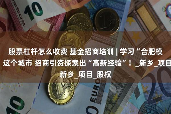 股票杠杆怎么收费 基金招商培训 | 学习“合肥模式” ，这个城市 招商引资探索出“高新经验”！_新乡_项目_股权