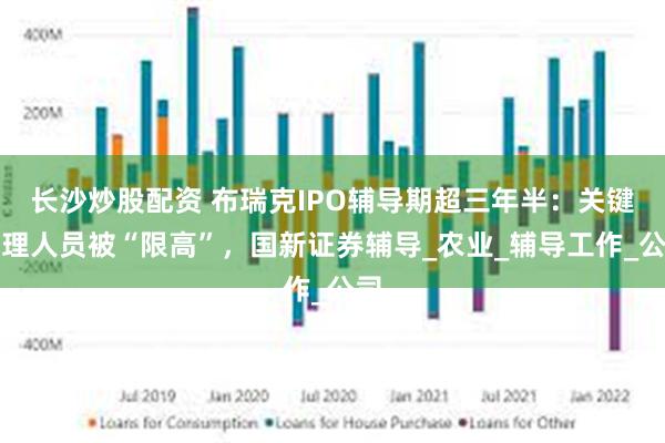 长沙炒股配资 布瑞克IPO辅导期超三年半：关键管理人员被“限高”，国新证券辅导_农业_辅导工作_公司