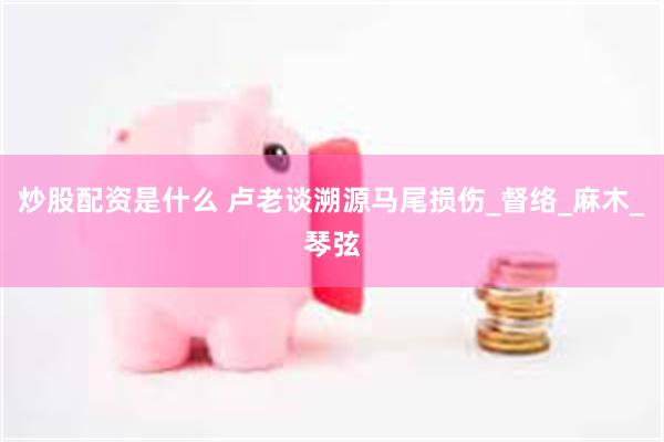 炒股配资是什么 卢老谈溯源马尾损伤_督络_麻木_琴弦