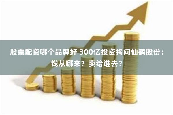 股票配资哪个品牌好 300亿投资拷问仙鹤股份：钱从哪来？卖给谁去？