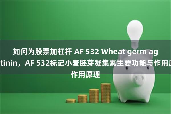 如何为股票加杠杆 AF 532 Wheat germ agglutinin，AF 532标记小麦胚芽凝集素主要功能与作用原理